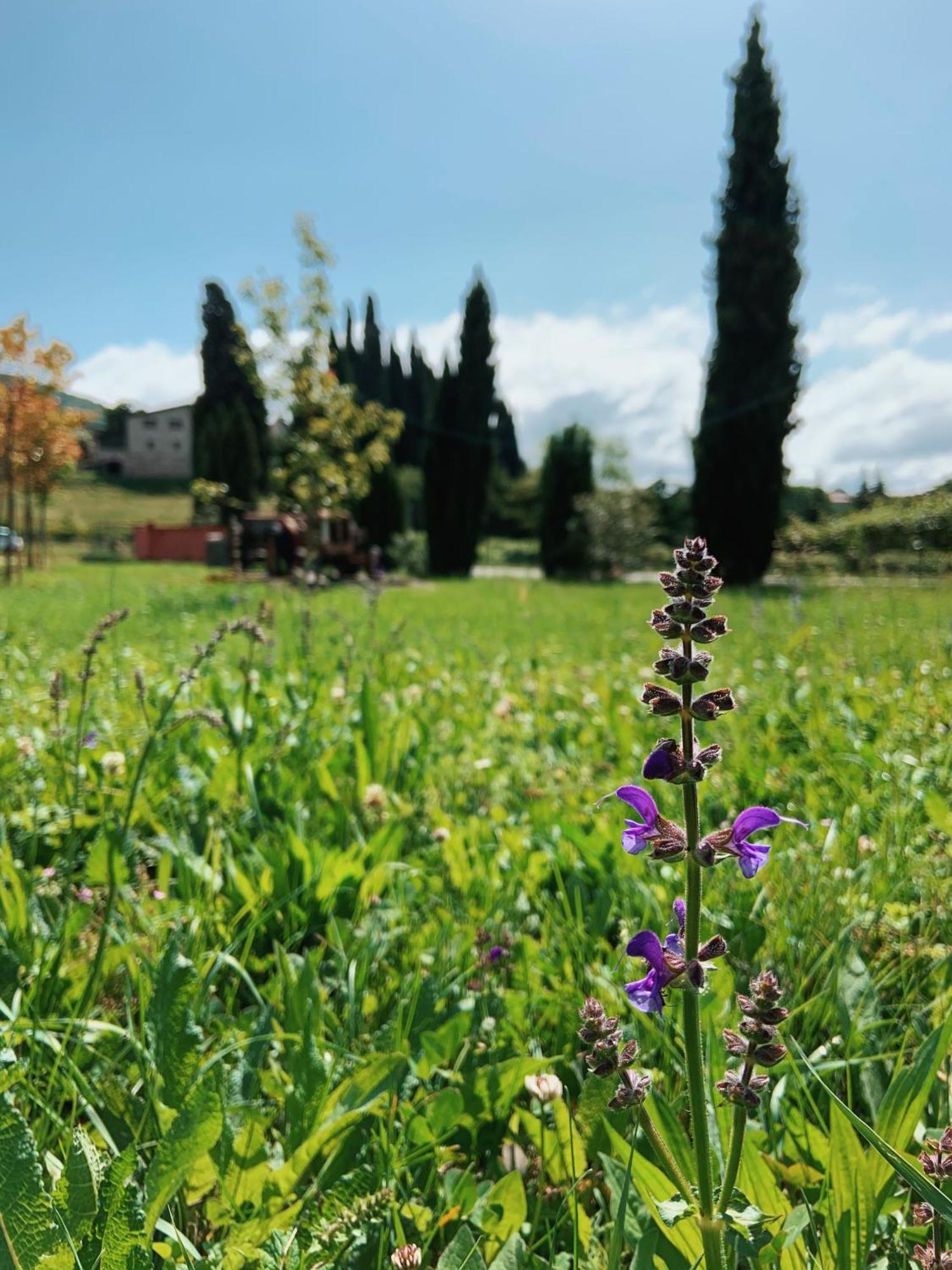 Agriturismo Val Costermano Exterior foto
